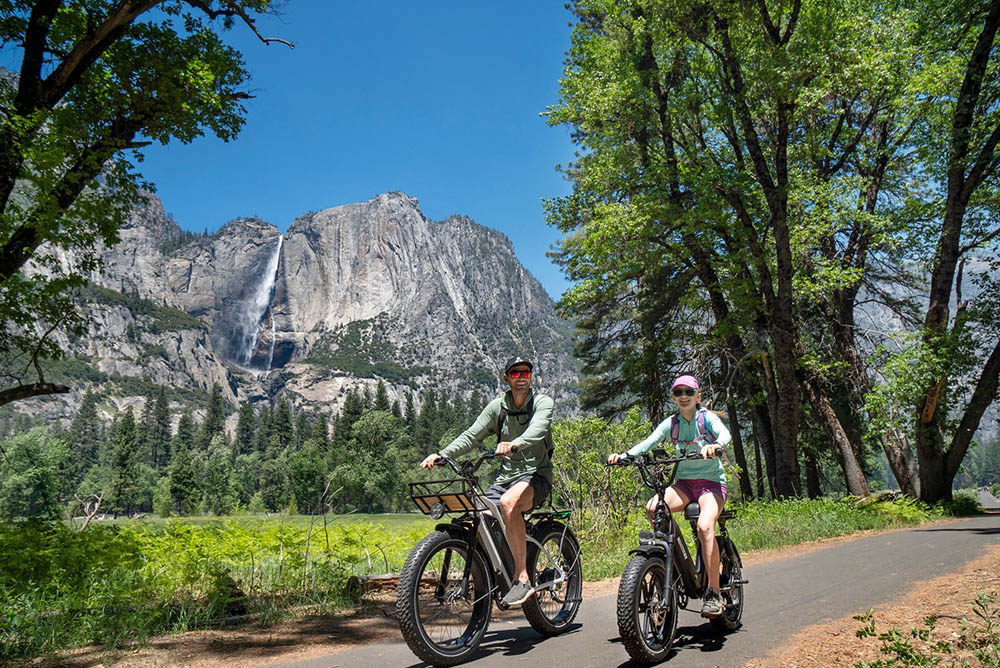 New england electric online bike